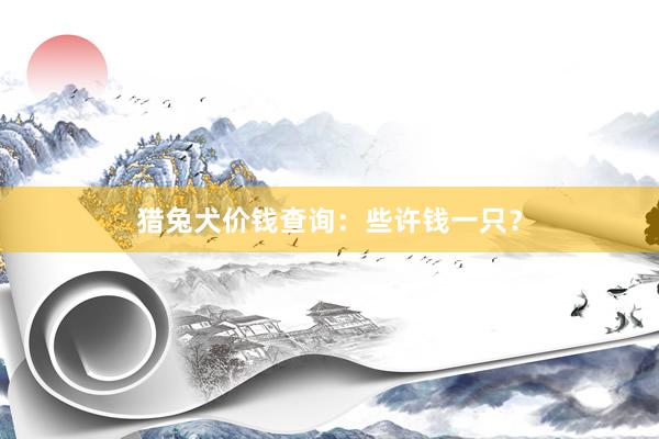 猎兔犬价钱查询：些许钱一只？